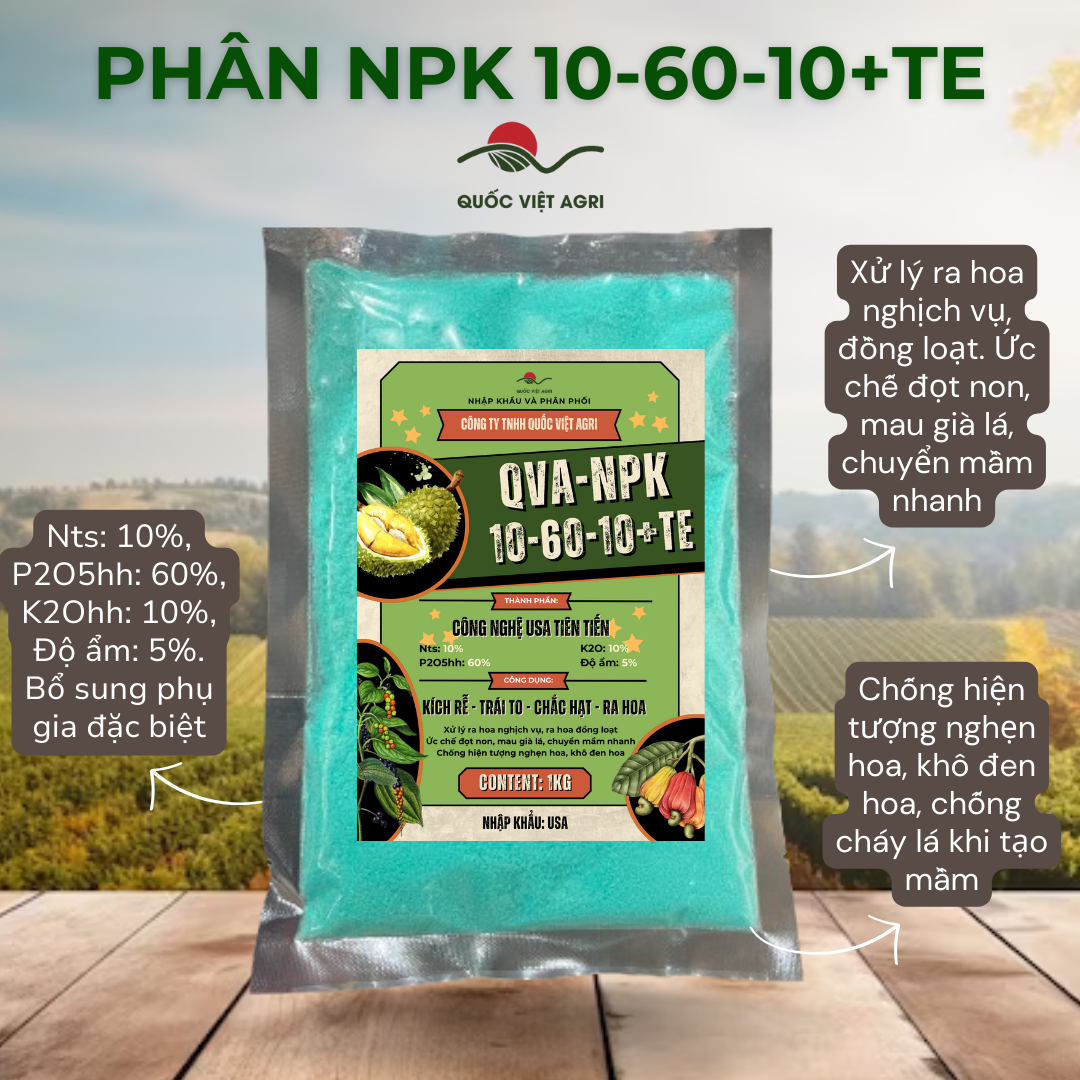 Phân bón hỗn hợp npk qva 10-60-10+te
