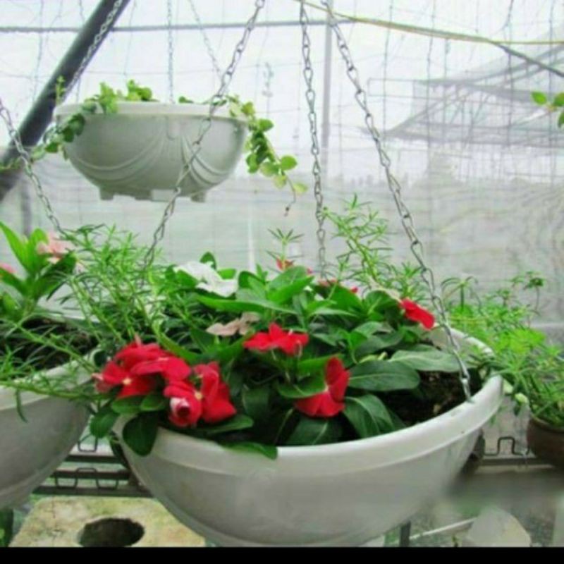 Chậu chảo nhựa xích