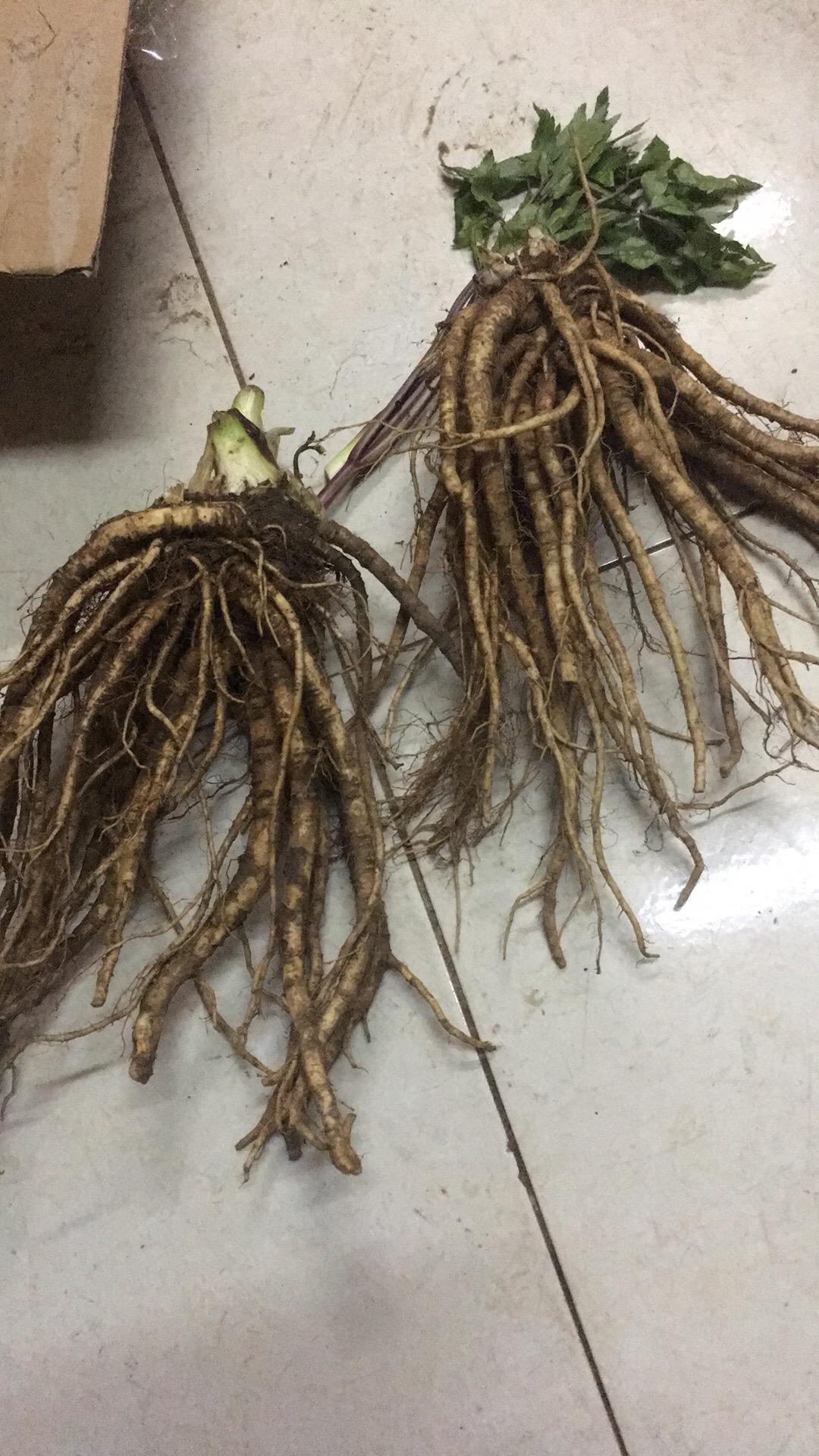 Sâm Đương Quy Sìn Hồ Lai Châu 2kg