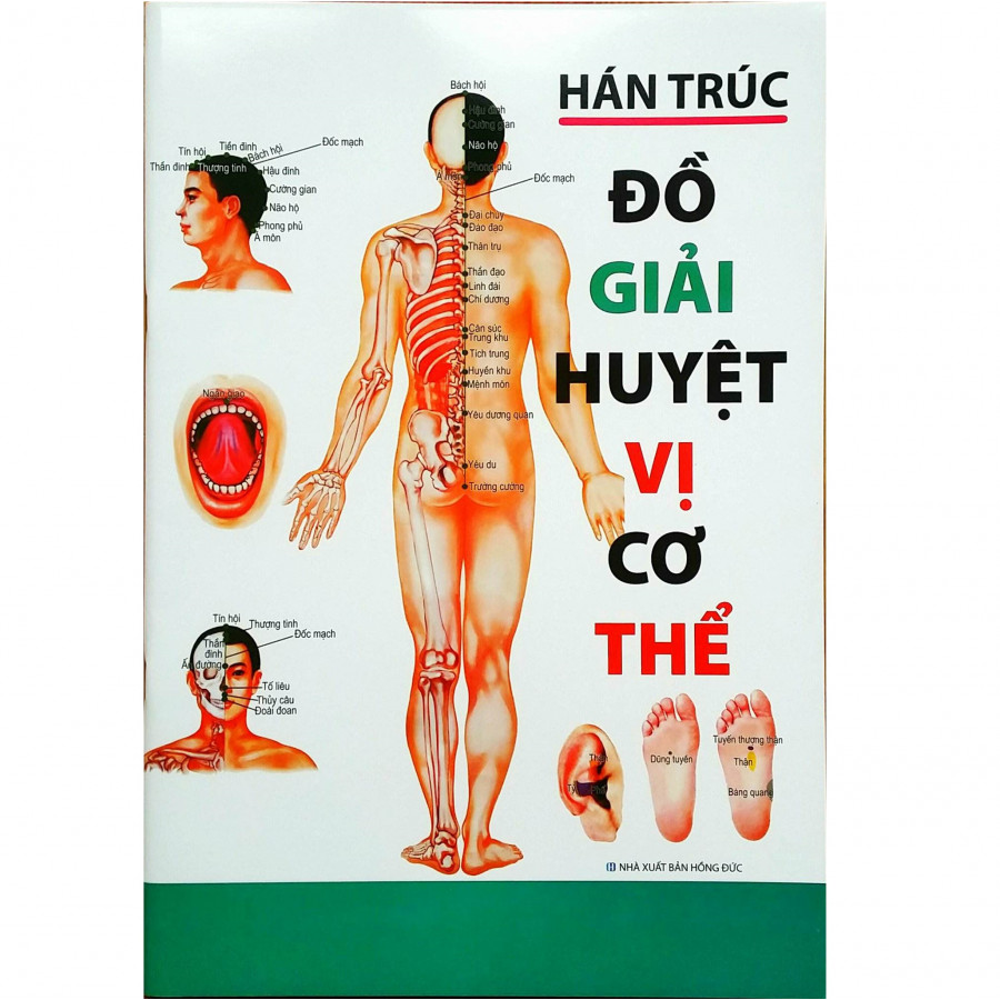 Nguyetlinhbook - đồ giải huyệt vị cơ thể - nxb hồng đức.