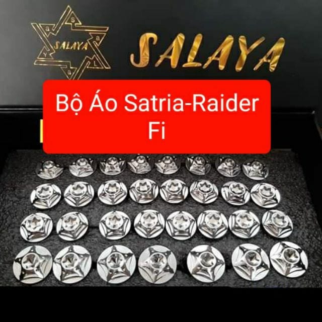 Bộ Ốc Salaya Cho Dàn  Áo Satria - Raider Fi (1 bộ 27 con)