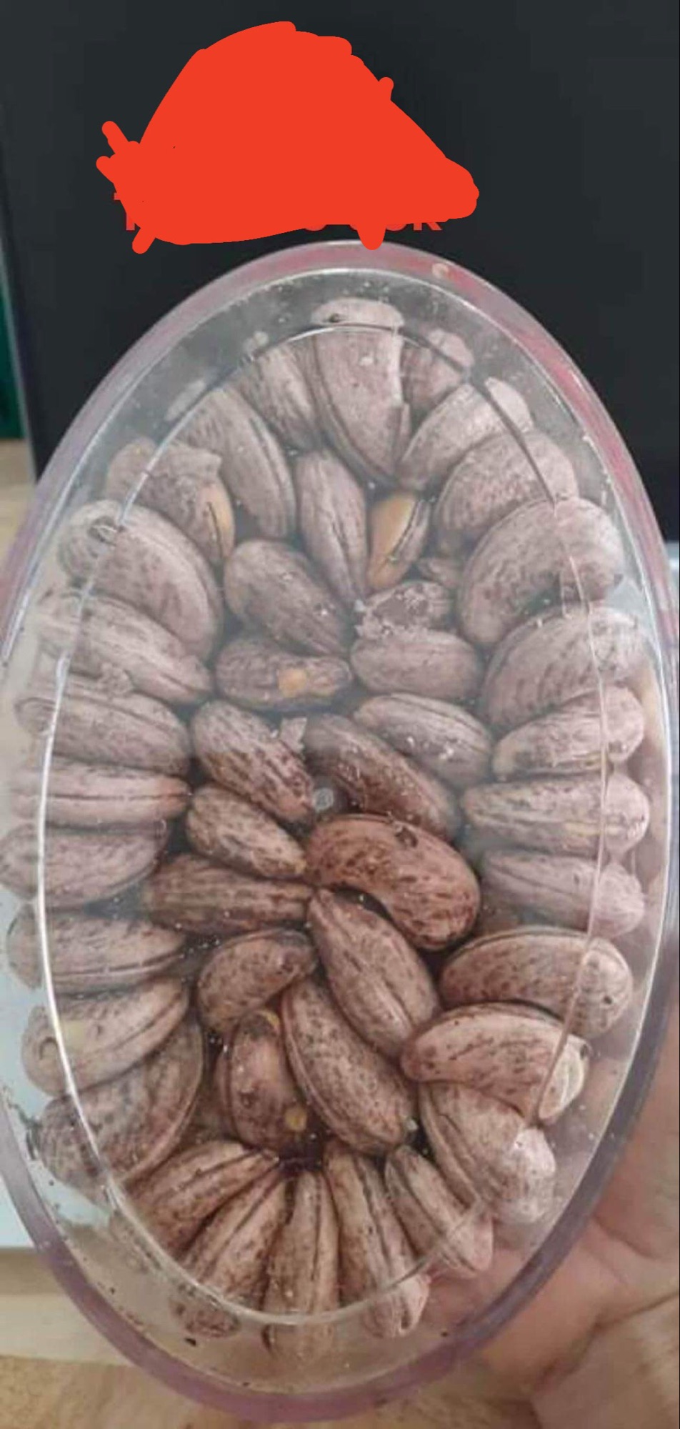 Hat điều rang muối