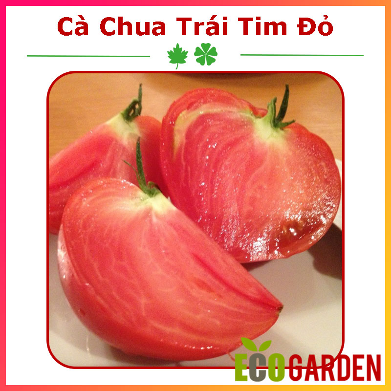 Hạt giống cà chua trái tim màu đỏ