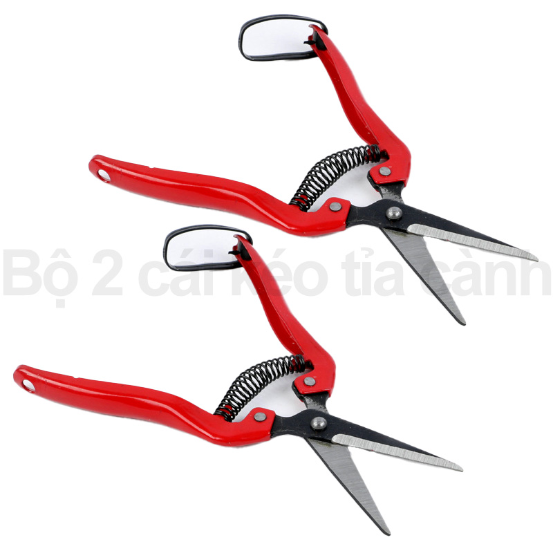Bộ 2 cái kéo tỉa cành hoa la TL38 tiện lợi giá rẽ