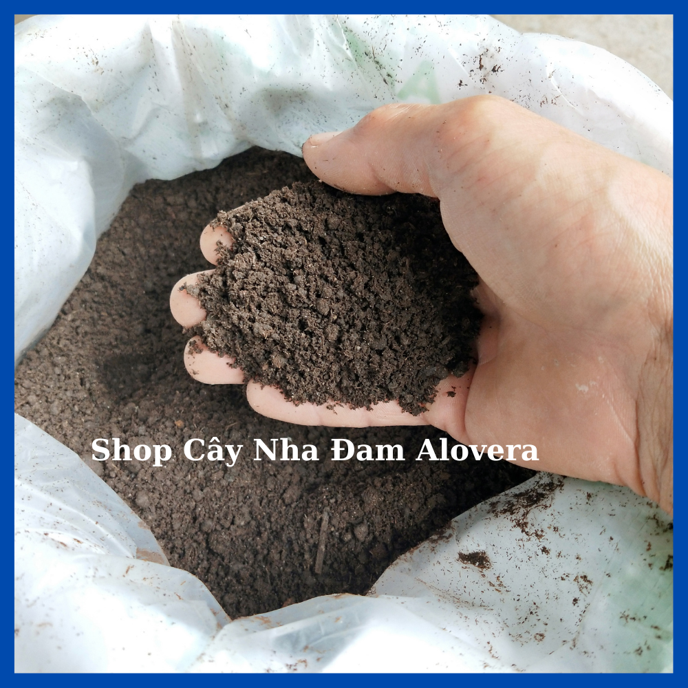 Phân Trùn Quế Nguyên Chất (1KG) Đã Qua Xử Lý Sàng Lọc Và Giảm Ẩm