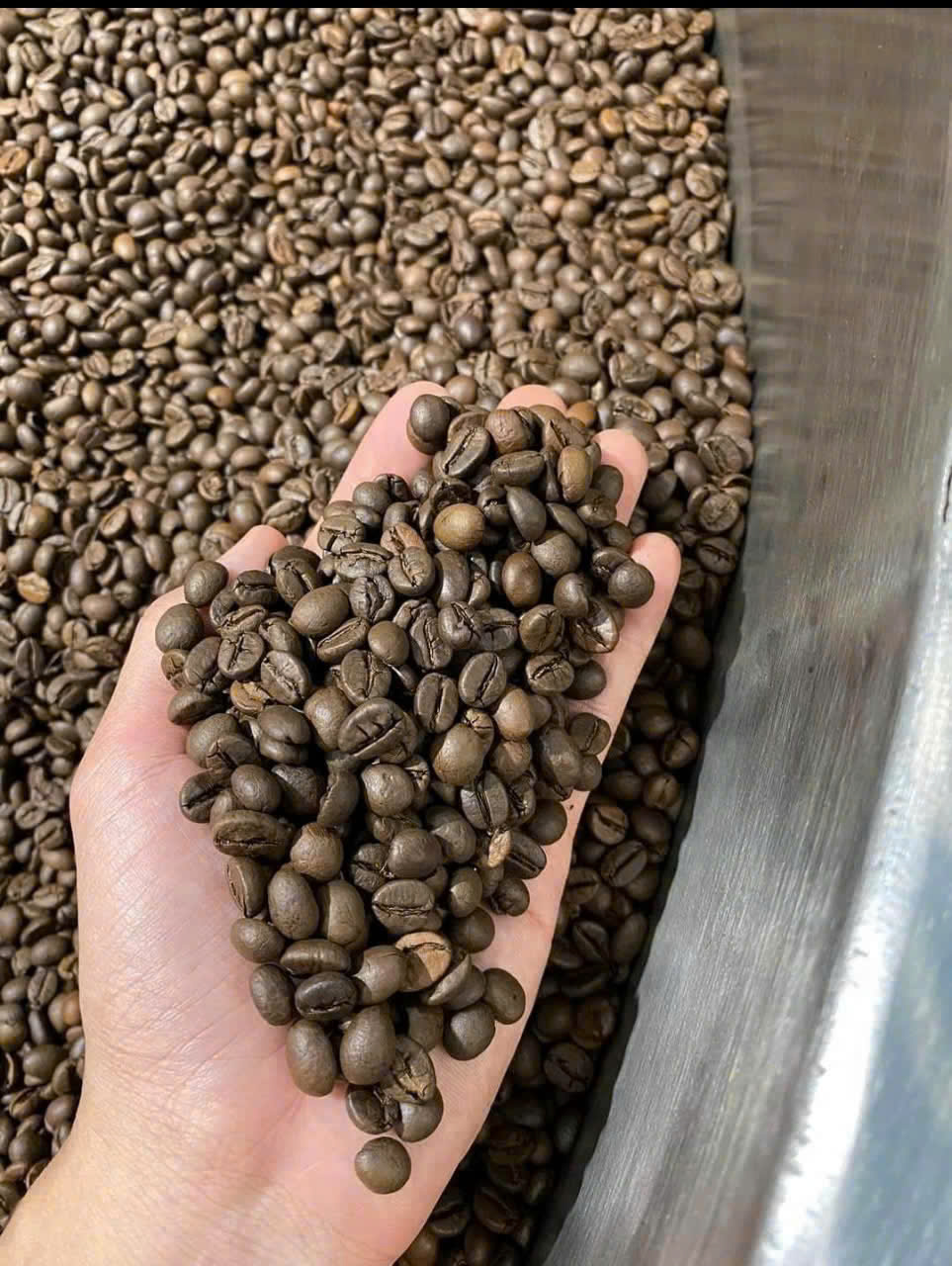 Cà Phê Hạt Rang Nguyên Chất Mộc Đậm Vị - Hạt Cà Phê Đen Nguyên Bản, Tươi Mới Mộc Mạc