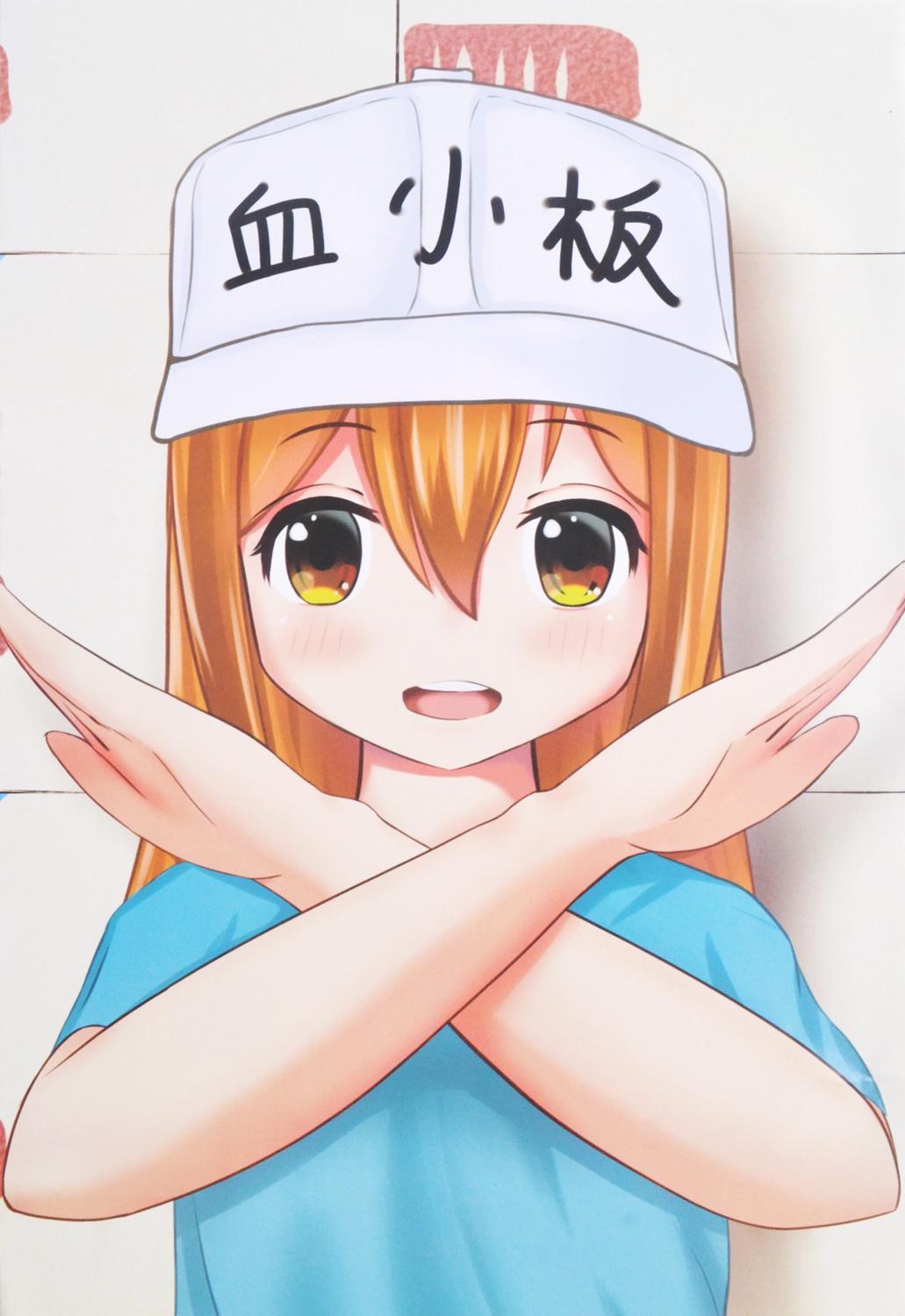 [7-11/12 VOUCHER 8%][thanh lý bán lỗ] Bộ 8 tấm poster Anime - Hataraku Saibou [AAM] [PGN23]