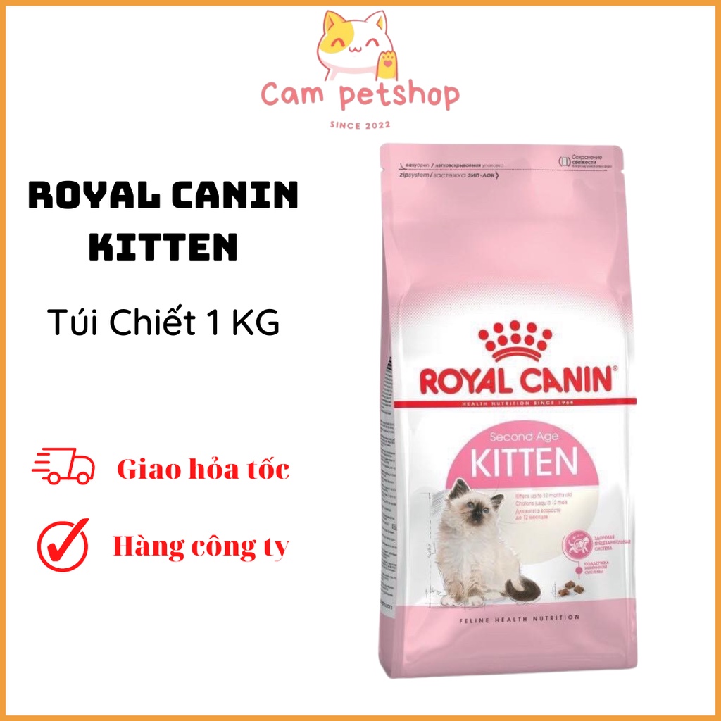 Hạt royal canin kitten túi chiết 1kg dành cho mèo con