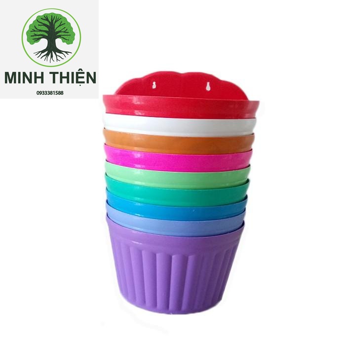 Combo 5 chậu ốp tường bán nguyệt 31cm x 17cm x 18cm nhiều màu chậu ốp tường