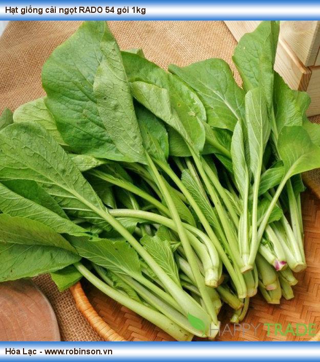 Hạt giống cải ngọt rado 54 rạng đông gói 20gram