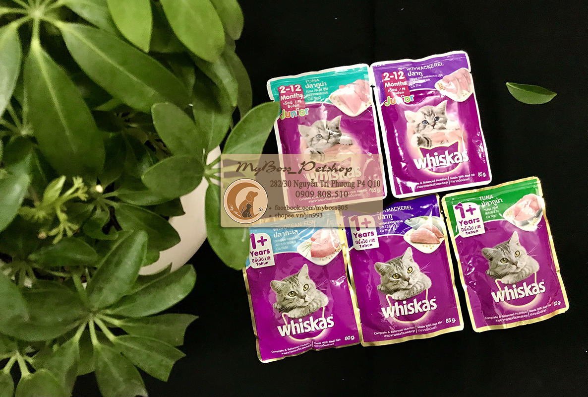 Pate whiskas thức ăn ướt cho mèo