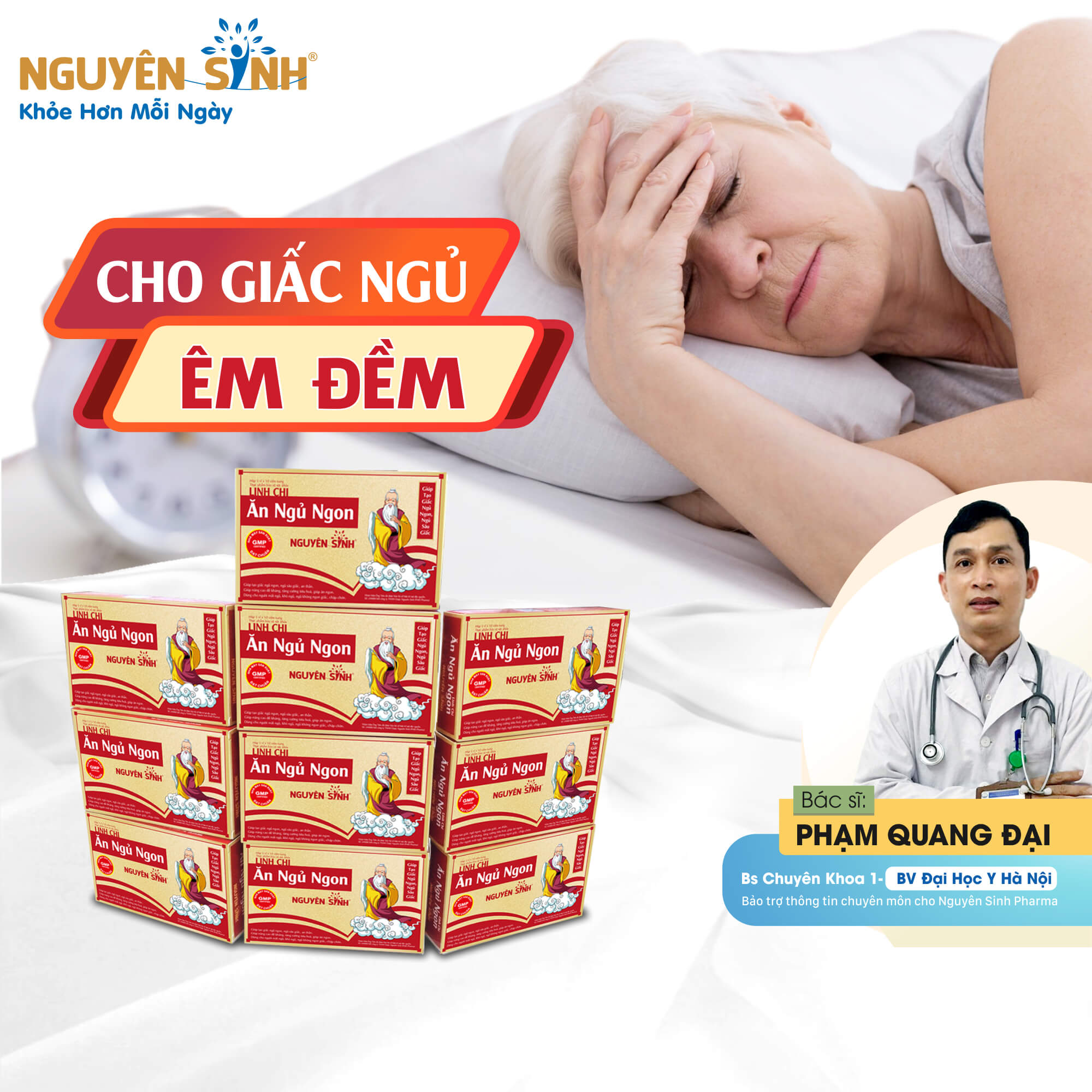 10 hộp thực phẩm chức năng Linh chi nguyên sinh ăn ngủ ngon dành cho người già, số lượng 30 vỉ x 10 viên DNS-LC10
