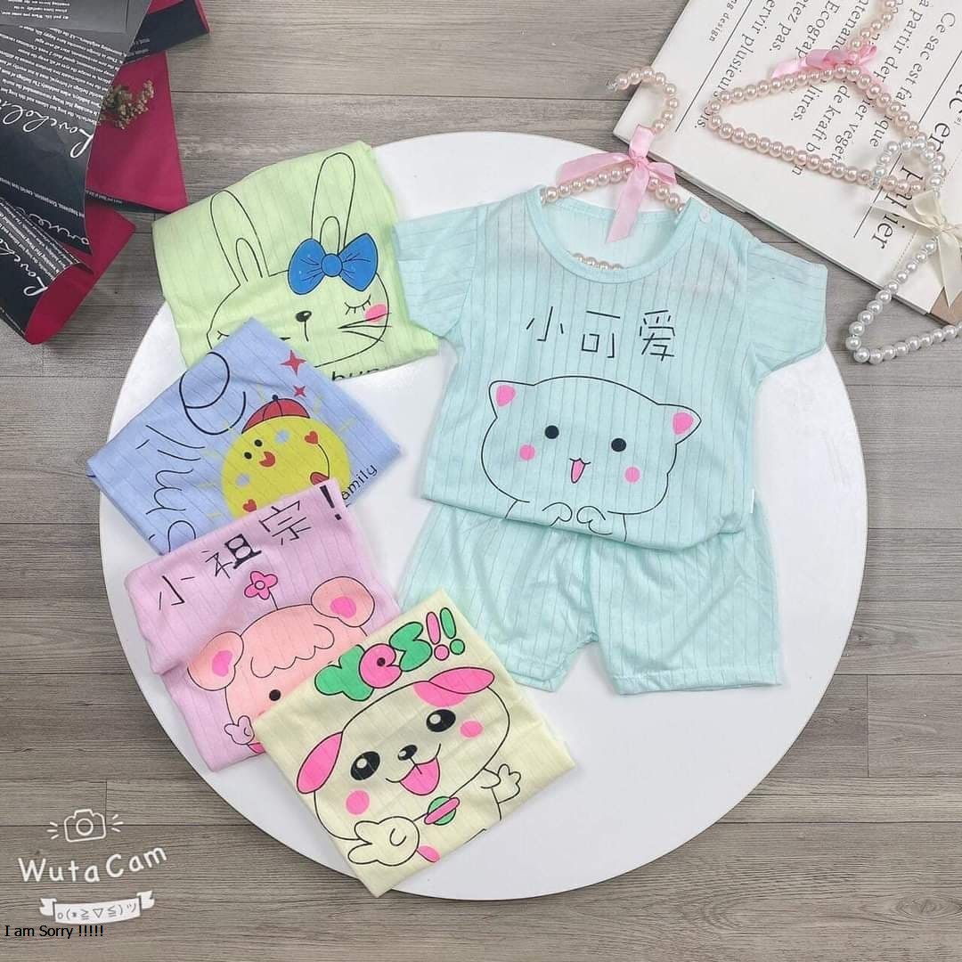 5 bộ cộc tay khuy vai cotton giấy cho bé 4-12kg