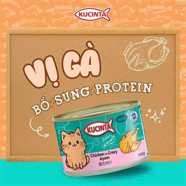 KUCINTA Thức Ăn Ướt Cho Mèo 150g – Pate Thịt Miếng Gravy/Jelly Chính Hãng