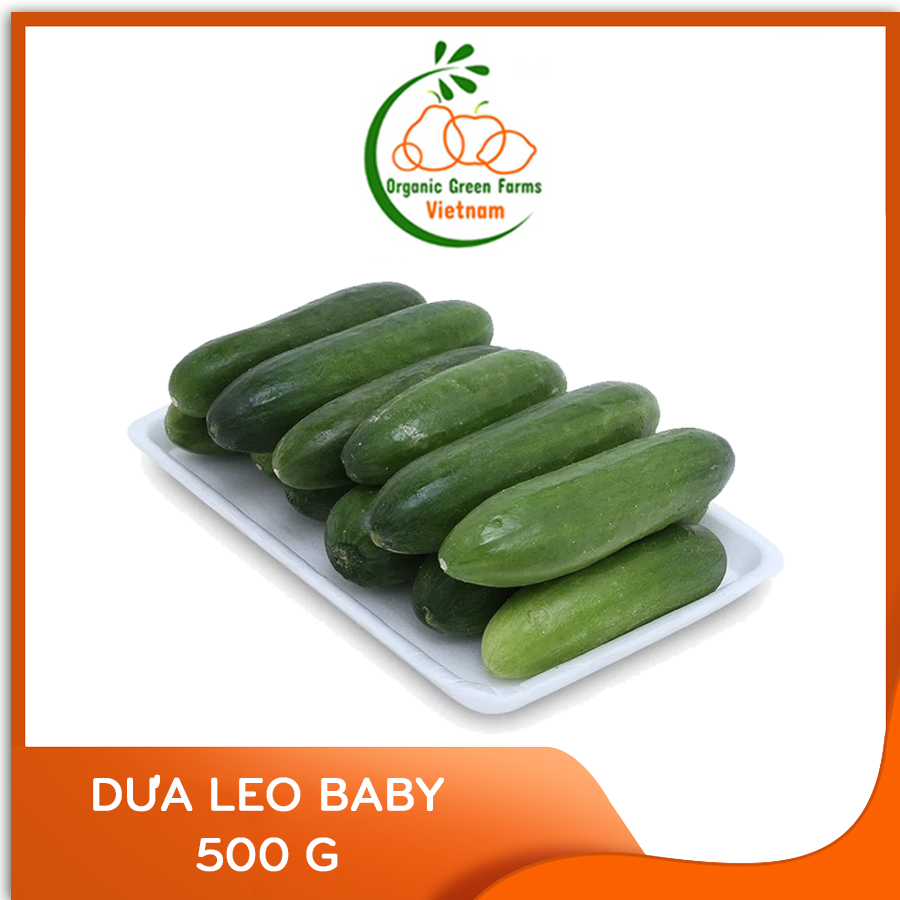 [OGF] - Dưa leo baby (500g) - [Giao nhanh TPHCM]