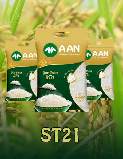 Gạo ST21 ( Túi 5kg ) Tân Long
