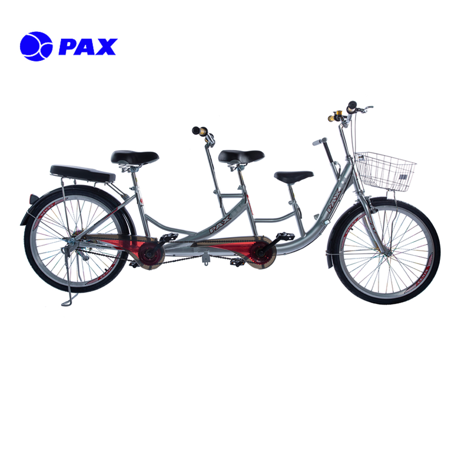 [HCM]Xe đạp đôi PAX-2-SPORT