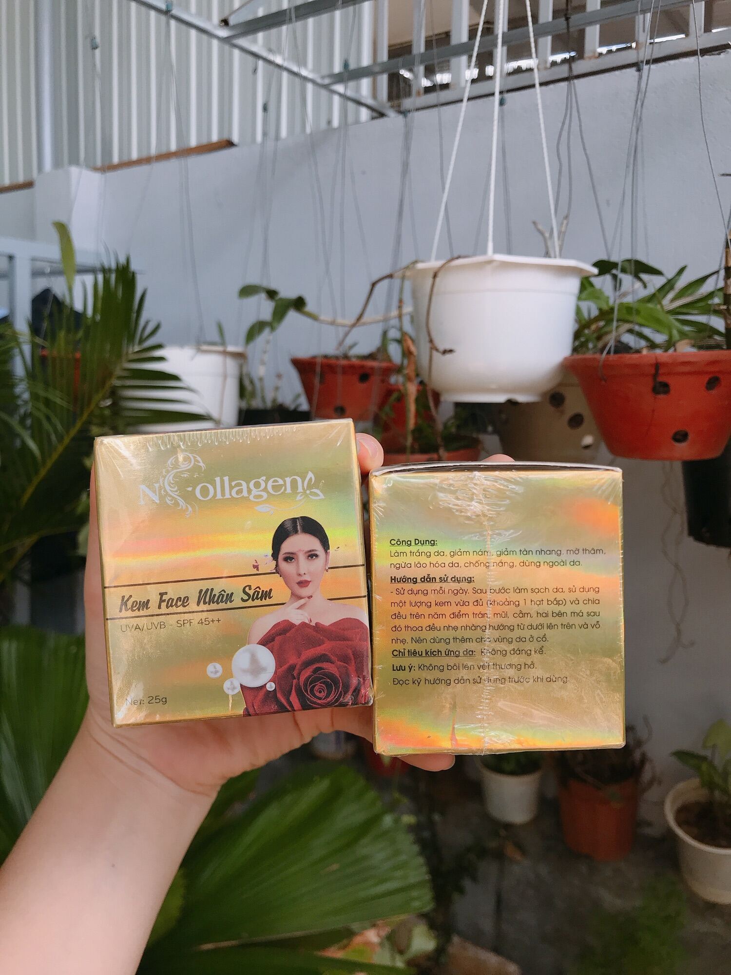 Kem face nhân sâm n collagen 25gr