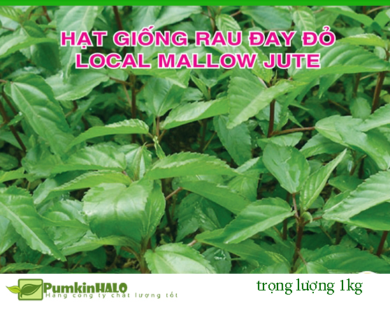 [HCM]Hạt Giống Rau Đay Đỏ  và Rau Đay Trắng  LOCAL MALLOW JUTE loại 1kg -tỉ lệ nảy mầm 85% rất dễ trồng