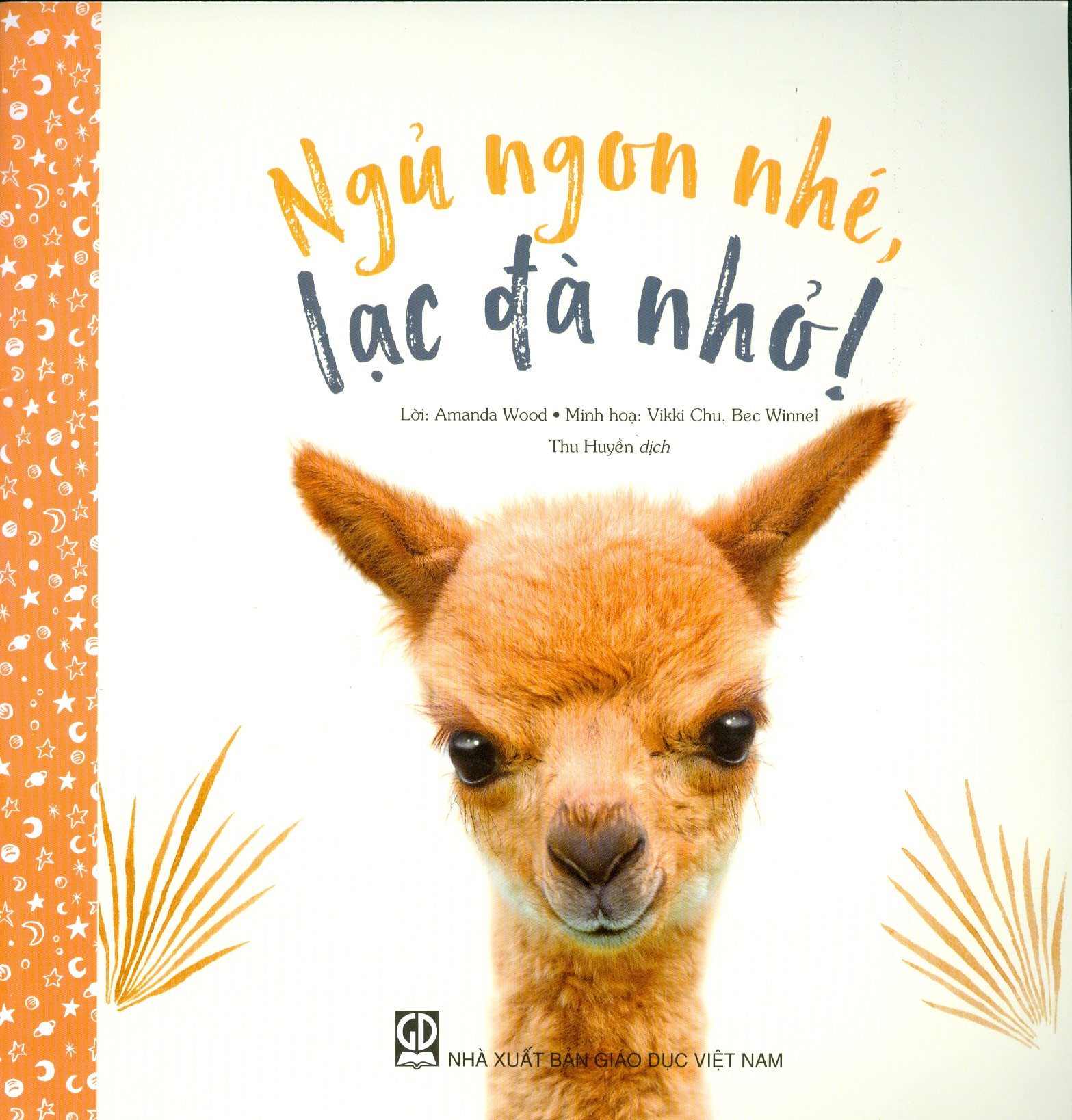 Ngủ ngon nhé, lạc đà nhỏ!