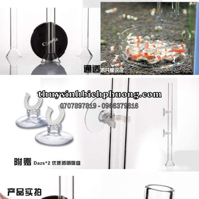 Bộ ống chén thuỷ tinh cho tép ăn