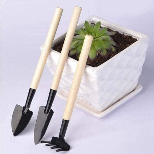 Bộ cuốc xẻng làm vườn mini 3 món