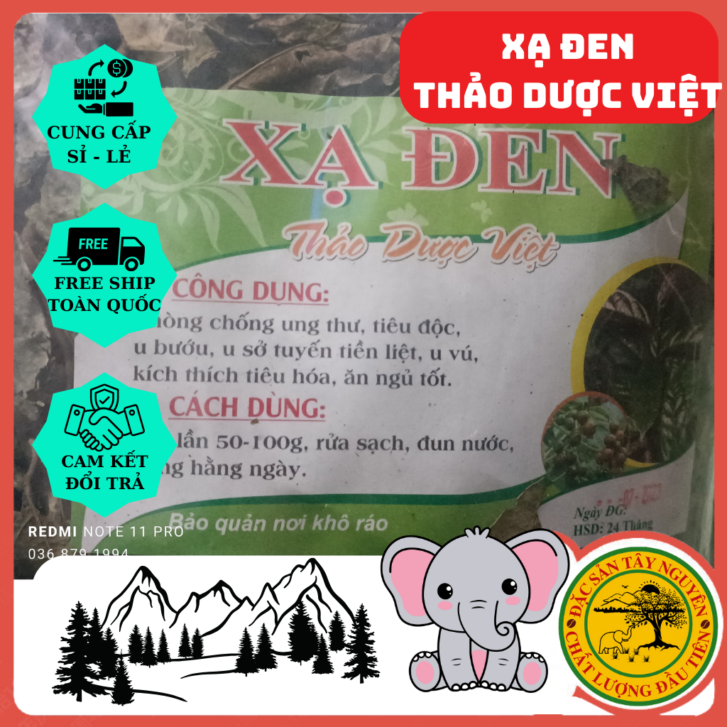 Cây Xạ Đen Sấy Khô - Thanh nhiệt, giải độc, hỗ trợ các bệnh lý về gan tiểu đường, mỡ máu,..