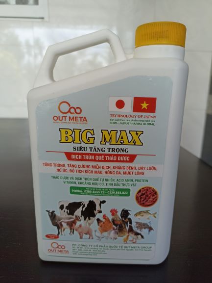 Big max siêu tăng trọng