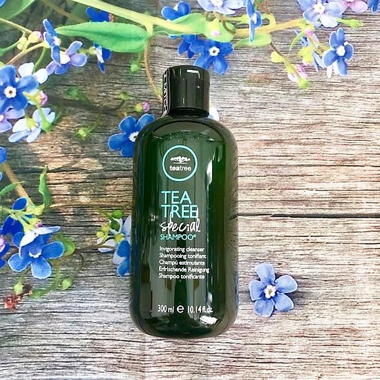 Dầu gội ngăn gàu, kháng khuẩn Tea Tree Special Shampoo Paaul Mitchell 300ML