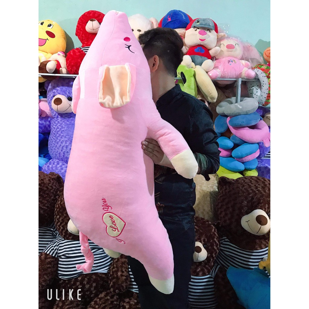 Gấu bông heo lười khổng lồ
