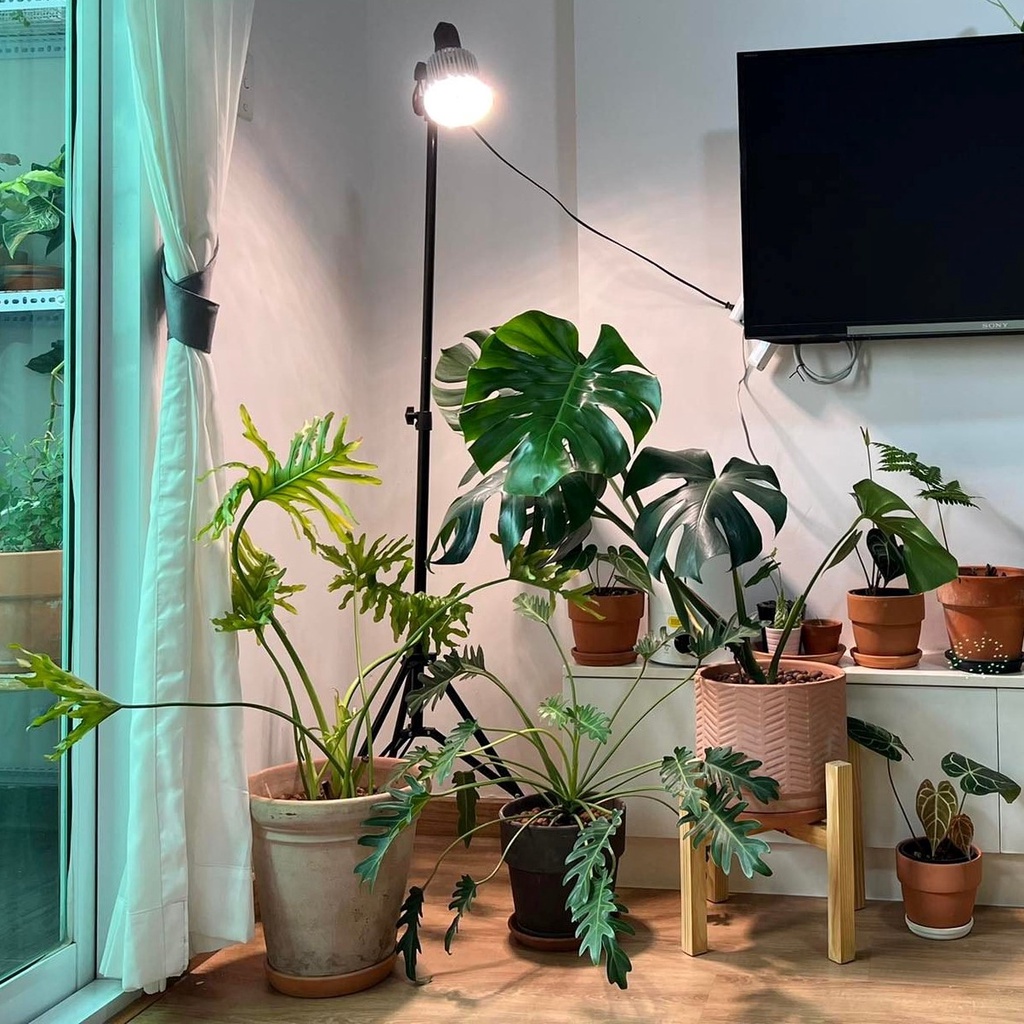 Đèn Quang Hợp LGL 30W, Đèn Trồng Cây Trong Nhà, Ánh Sáng Nắng Sớm Giúp Ra Ở Chồi Kiểng Lá & Ra Mầm Ở Cây Hoa, Sen Đá