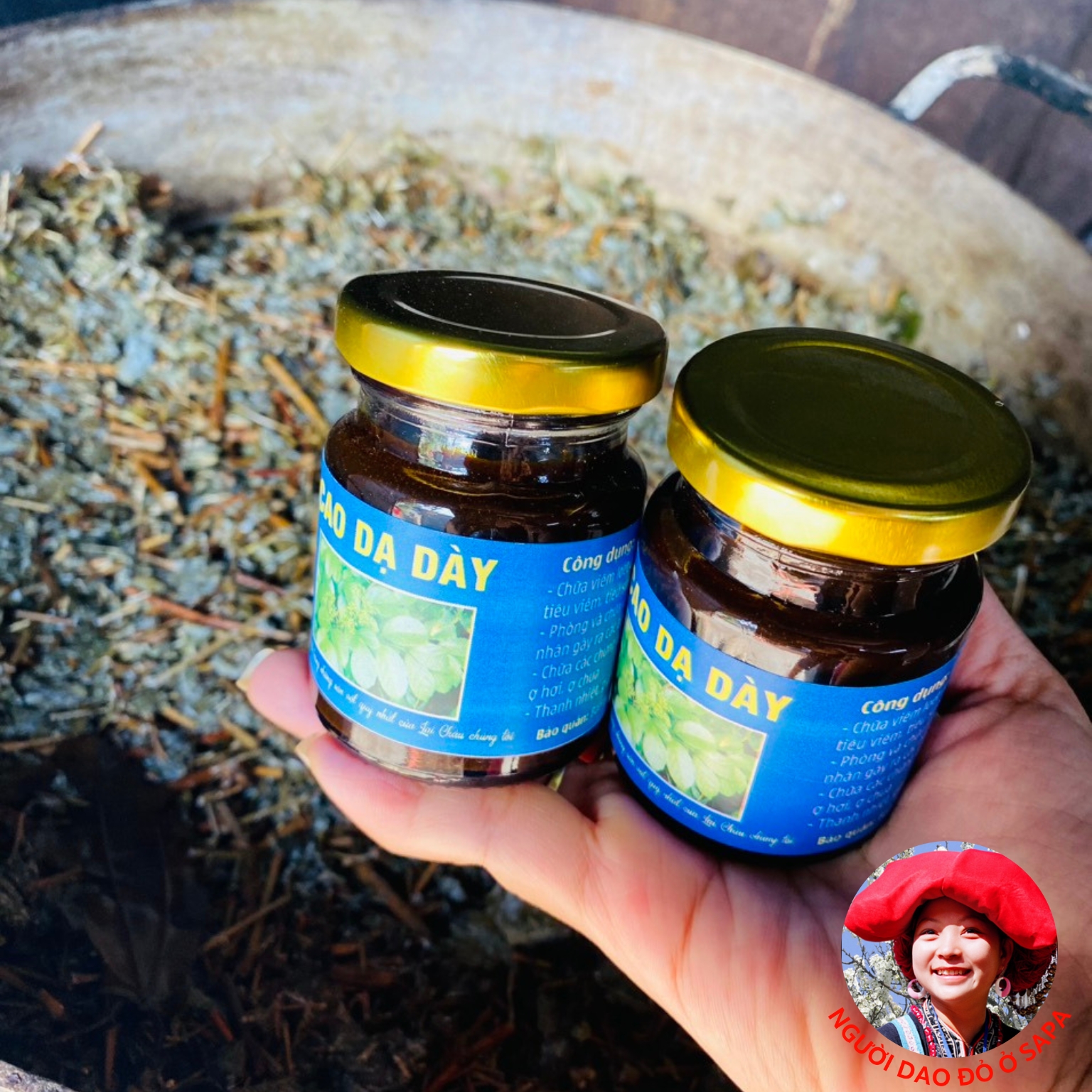 Cao chè dây Cao Bằng nguyên chất, cao dạ dày nấu thủ công, chắt lọc cô đặc từ chè dây Lai Châu, trà dây leo rừng Sapa