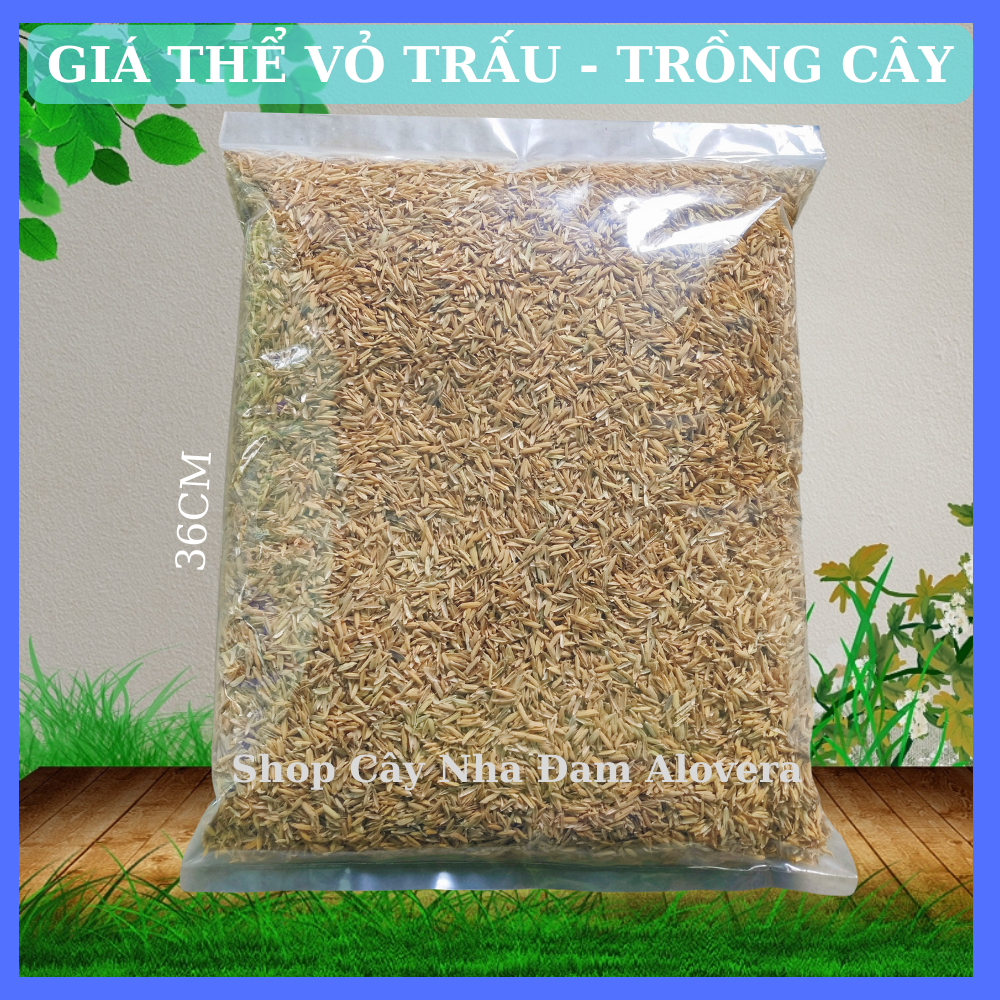 Trấu sống - Giá thể trấu sống trồng cây Cảnh Rau Sạch