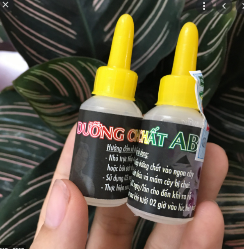 1 lọ dưỡng chất ab 10ml