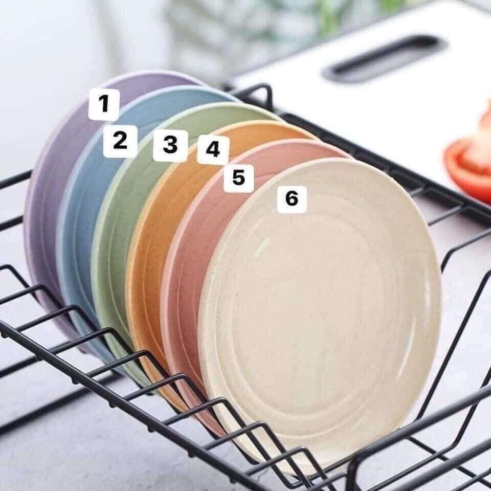 Combo 5 set đĩa lúa mạch màu siêu xinh