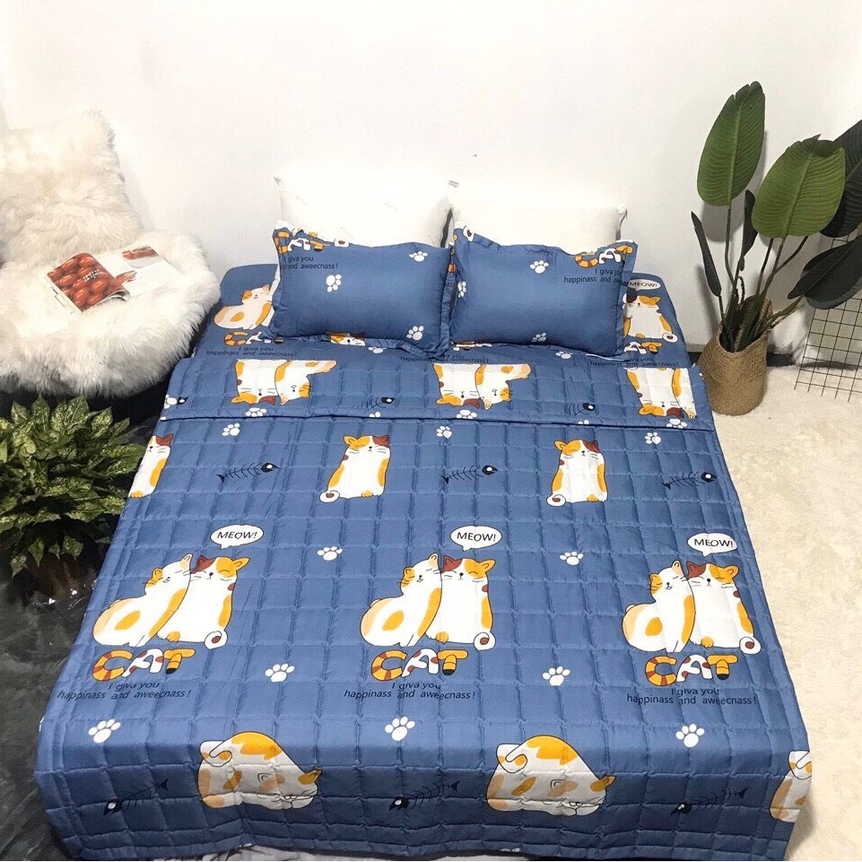Set 3 ga gối - Bộ ga chun và 2 vỏ gối chất Cotton Poly họa tiết mèo cát xanh