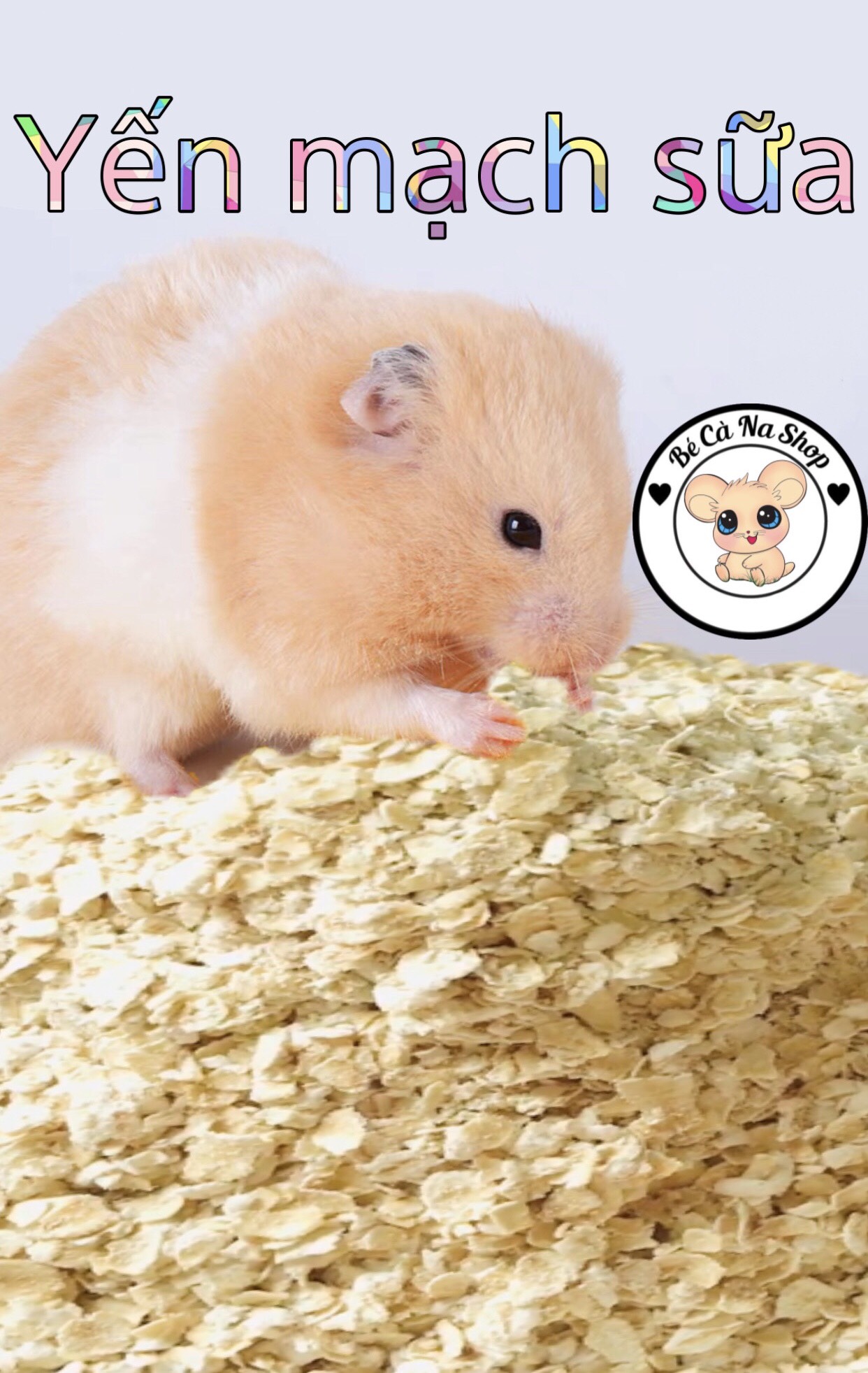 Yến mạch sữa cho hamster (bé cà na) . thức ăn dinh dưỡng cho hamster , thỏ bọ sóc...