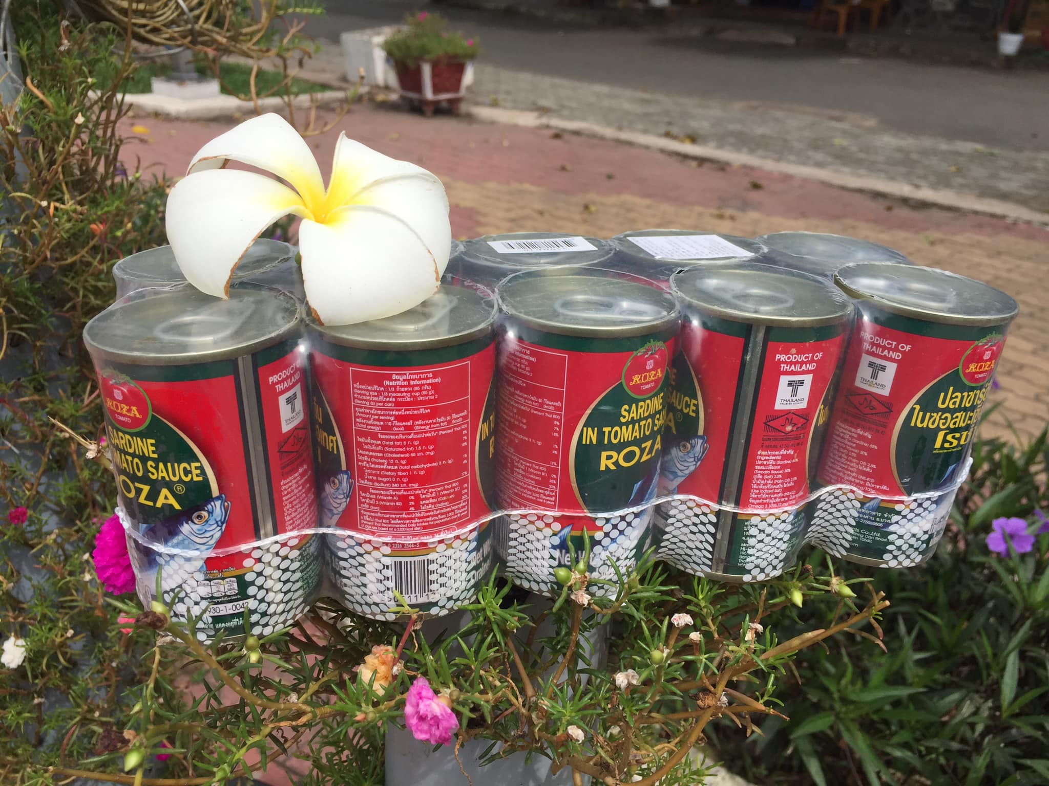 1 lốc - 10 hộp cá mòi thái lan 3 cô gái 155g/ hộp