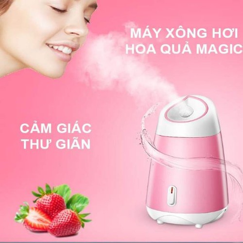 Máy xông mặt hoa quả, máy xông mặt maoer, máy xông hơi mặt mini tự động. máy xông mặt giá rẻ, làm sạch da mặt, sạch mụn 2 in 1