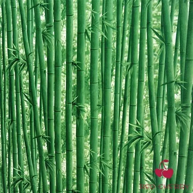 Giấy dán tường RỪNG TRE khổ 45cm x 10m có keo sẵn