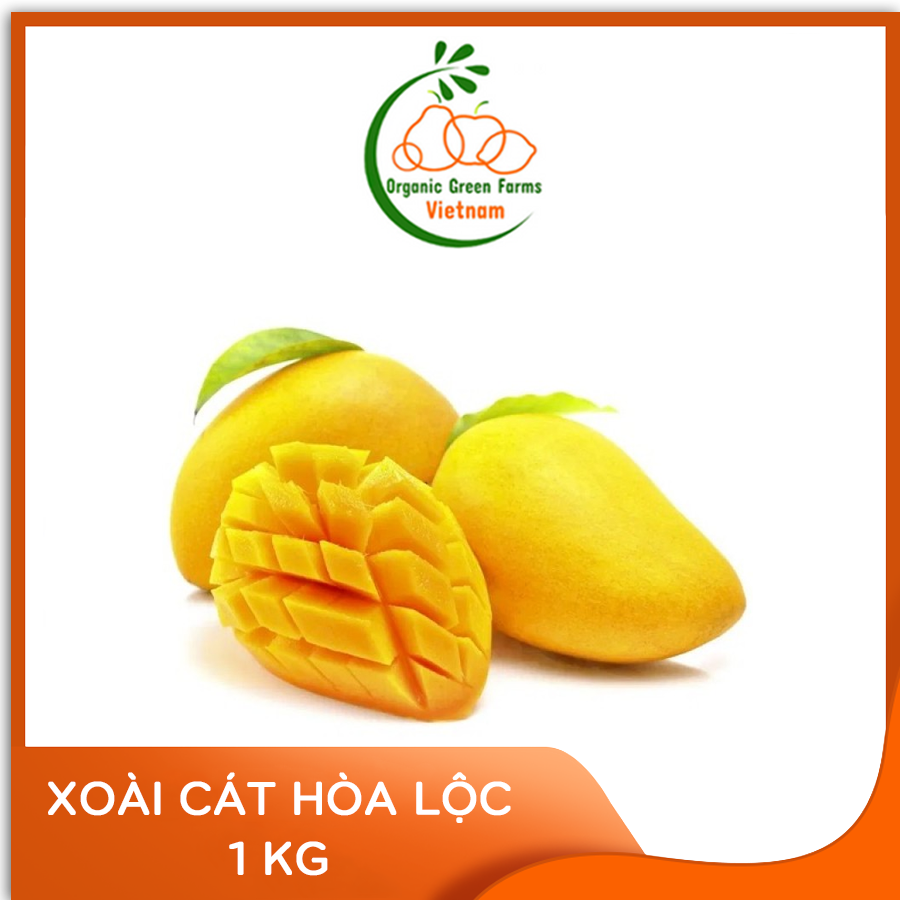 [OGF] - Xoài Cát Hòa Lộc (1kg) - Giao nhanh HCM
