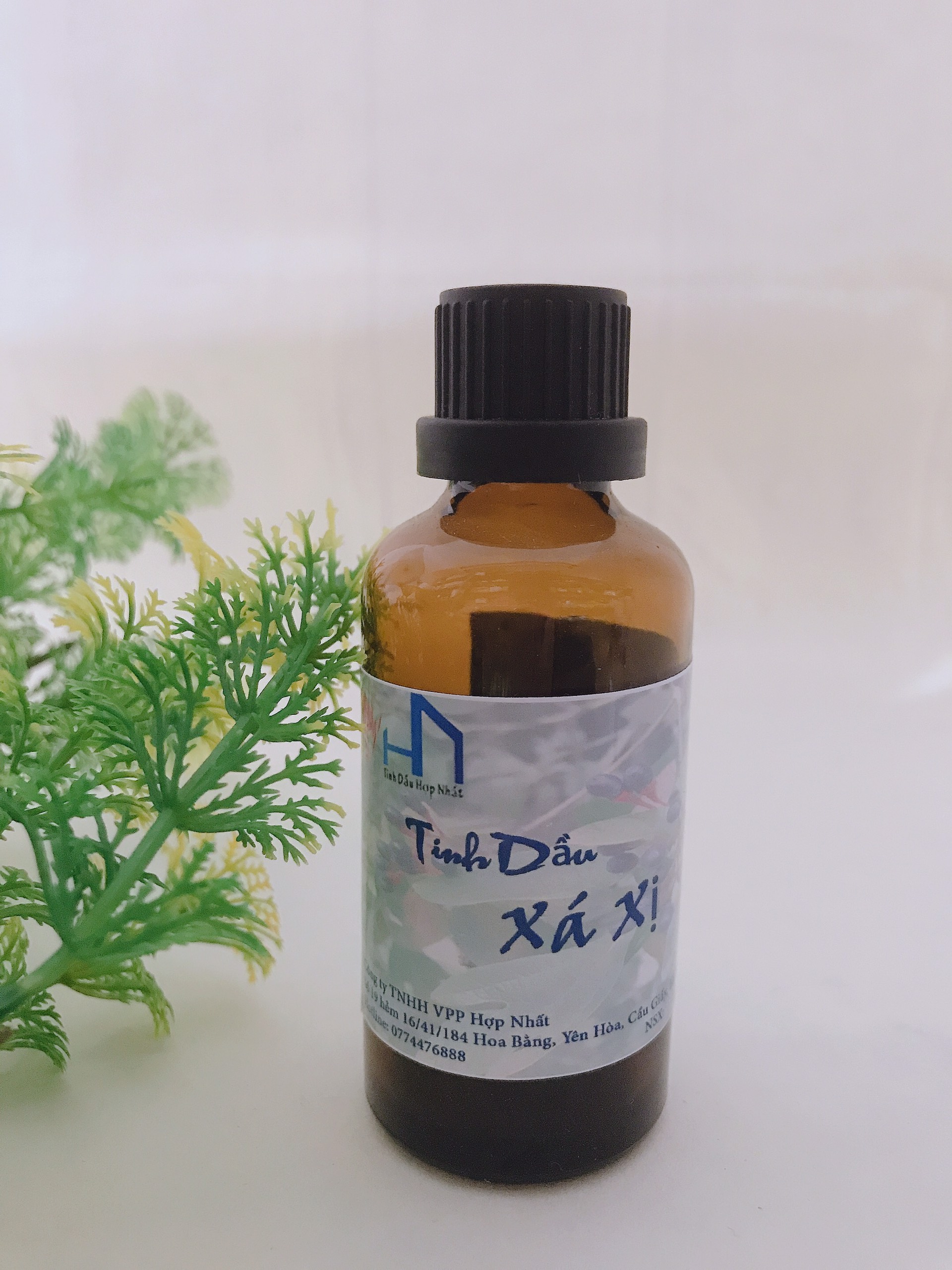 Tinh dầu Thơm xông phòng hương gỗ Xá Xị lọ 50ml