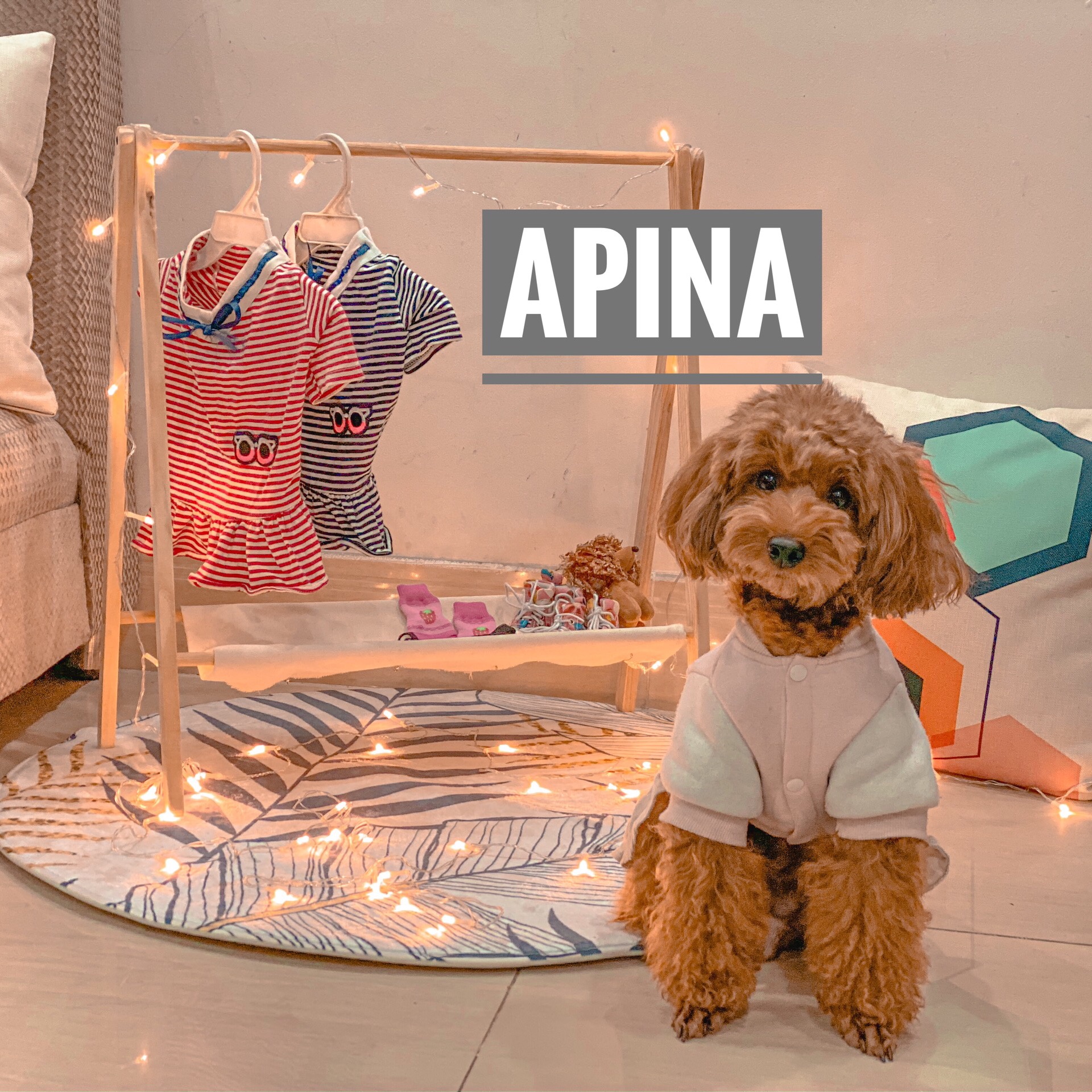 Sào treo đồ thú cưng