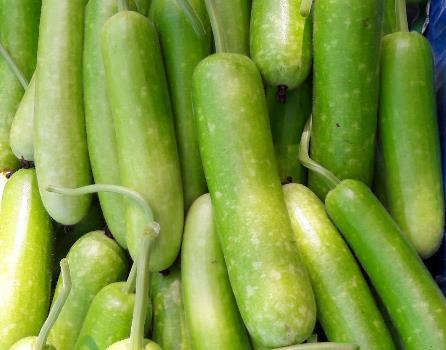 2gr hạt giống bầu sao F1 tỉ lệ nảy mầm và năng suất cao, ít sâu bệnh