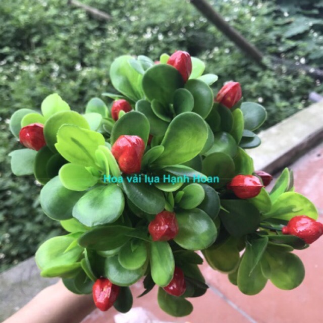 Chùm cây quả giả 5 nhánh trang trí - Cây hoa giả