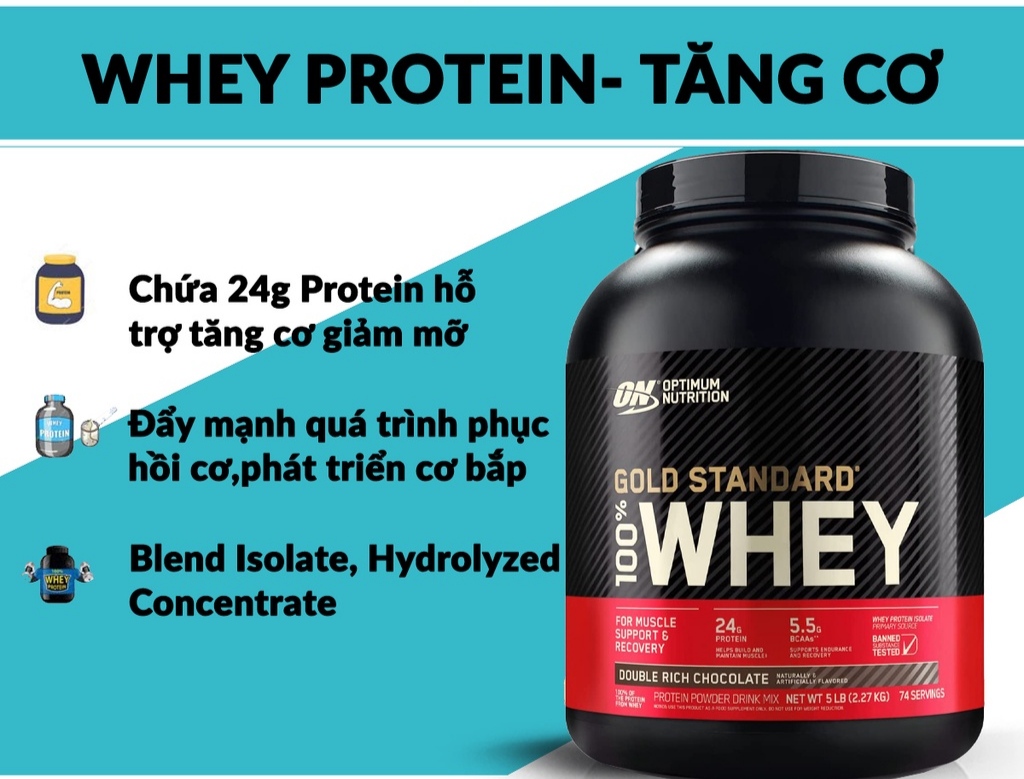 Tăng Cơ Whey Gold Gold Standard Chính Hãng - ShapeYourBody
