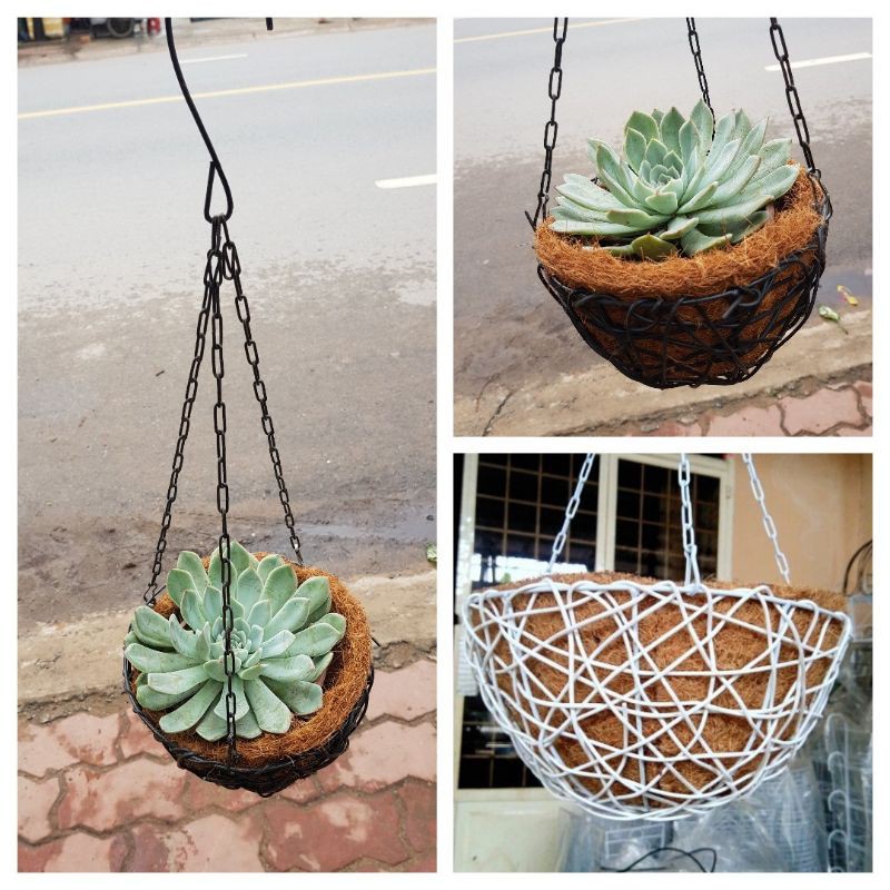 Chậu treo xơ dừa tổ chim yến trồng hoa SIÊU RẺ Size 30cm