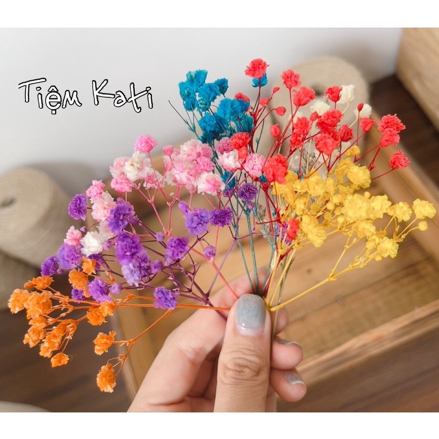 Nhánh hoa baby khô, hoa trang trí thiệp, bánh kem, qùa tặng