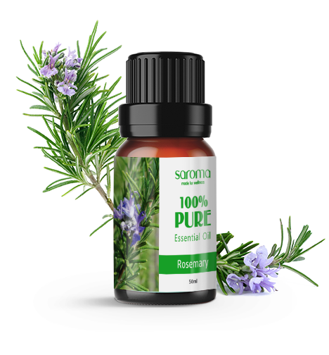 Tinh dầu hương thảo 10ml