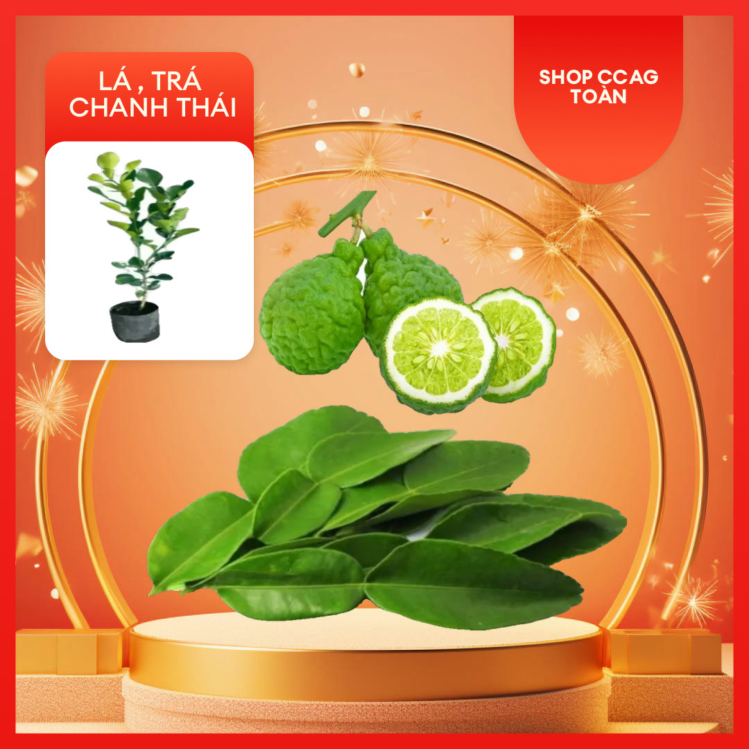 Lá chanh thái. lá chúc tươi. 1kg.lá chanh số 8.hàng tươi mới.